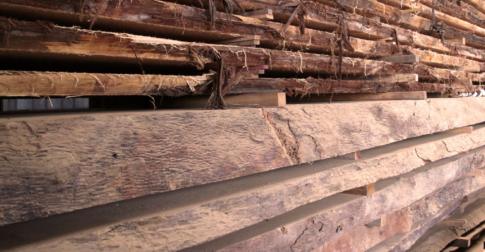 one-tree-house-material-01